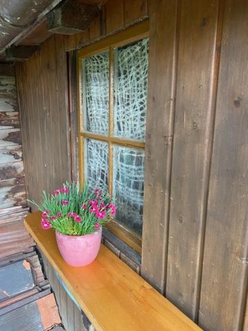 Ferienhaus Irene FDH Extérieur photo